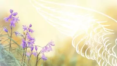 Blog en 2 2023 03 channeling raphael